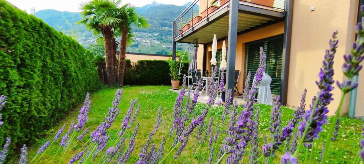 Casa Diana Locarno-cugnasco Gasthof Locarno