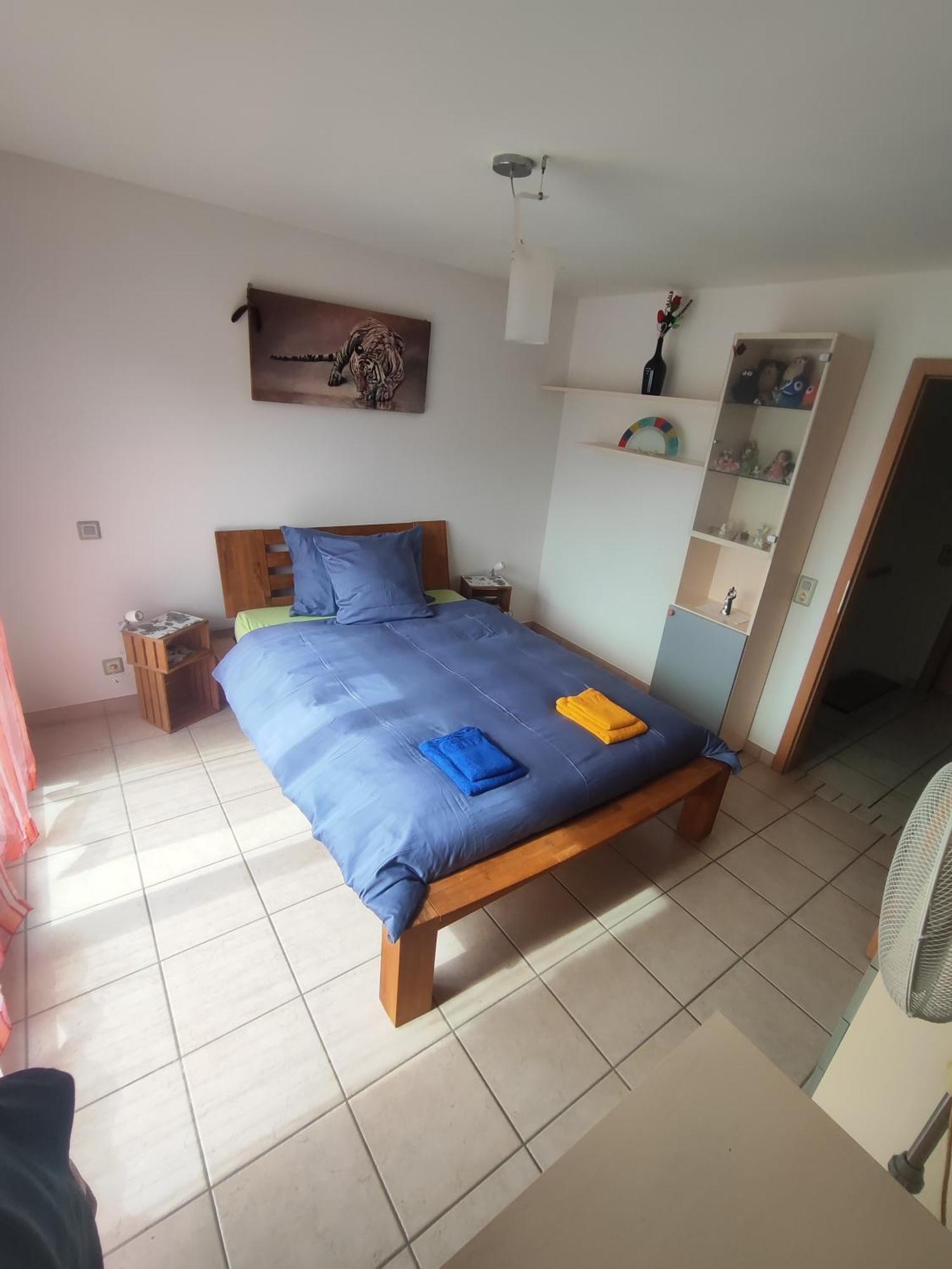 Casa Diana Locarno-cugnasco Gasthof *